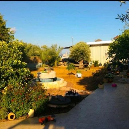 בחצר של טובה Daire Hazon Dış mekan fotoğraf