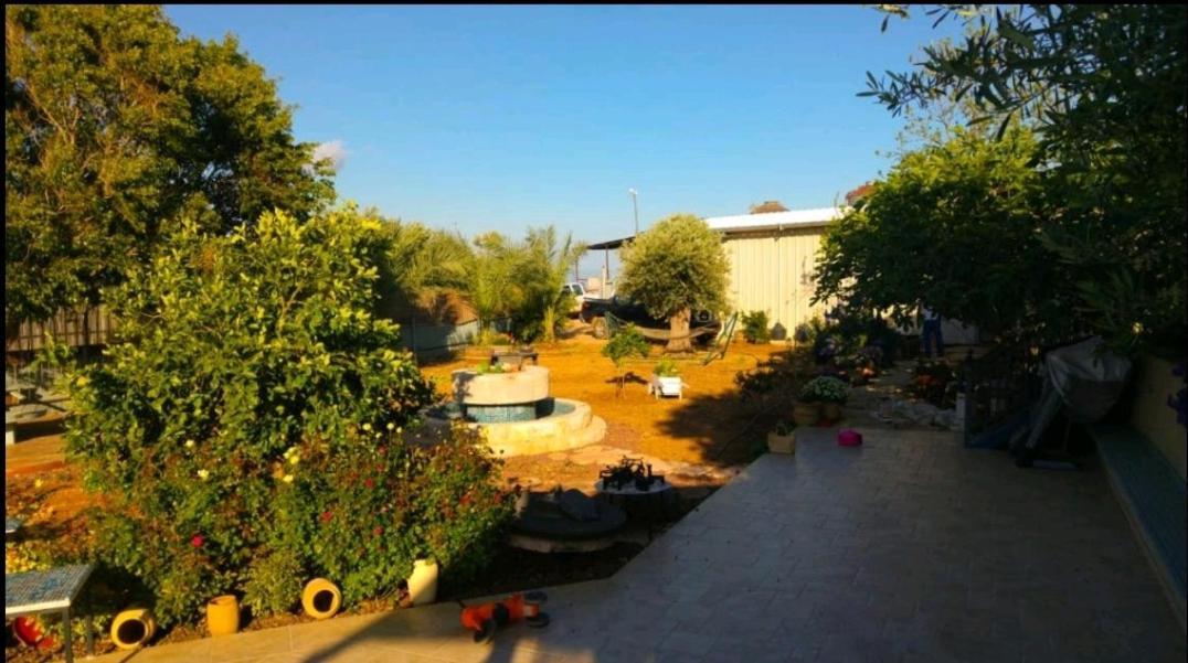 בחצר של טובה Daire Hazon Dış mekan fotoğraf